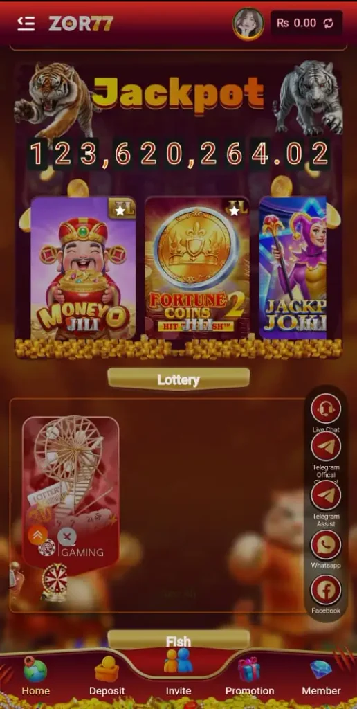 ZOR77 Game