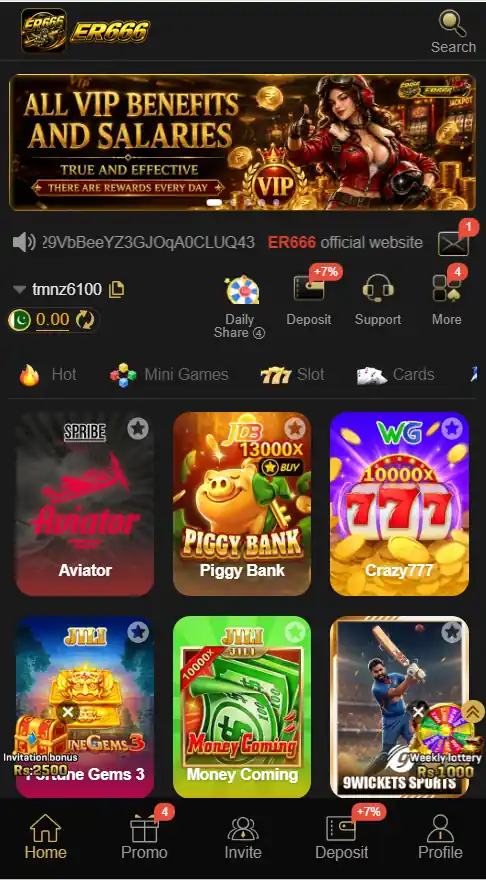 ER666 Game