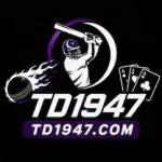 TD1947 Game
